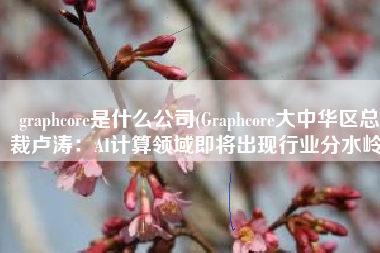 graphcore是什么公司(Graphcore大中华区总裁卢涛：AI计算领域即将出现行业分水岭)