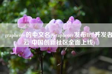 graphcore的中文名(Graphcore发布IPU开发者云 中国创新社区全面上线)