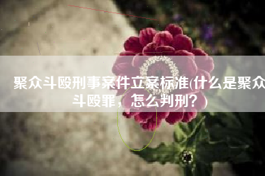 聚众斗殴刑事案件立案标准(什么是聚众斗殴罪，怎么判刑？)