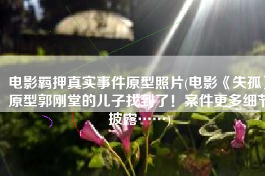 电影羁押真实事件原型照片(电影《失孤》原型郭刚堂的儿子找到了！案件更多细节披露……)