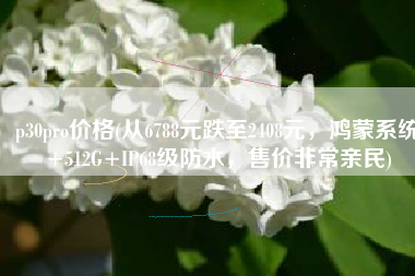 p30pro价格(从6788元跌至2408元，鸿蒙系统+512G+IP68级防水，售价非常亲民)