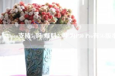 p30pro支持5g吗(爆料：华为P30 Pro有5G版本)