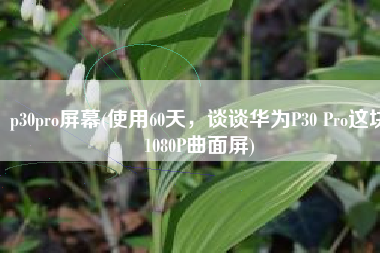 p30pro屏幕(使用60天，谈谈华为P30 Pro这块1080P曲面屏)