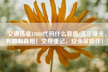 交通违章12080代码什么意思(违法曝光，有图有真相！交规谨记，安全常陪伴！)