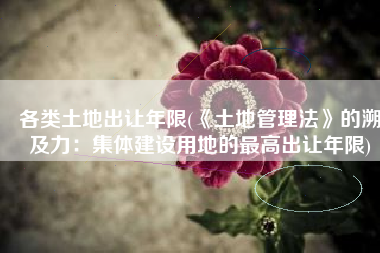 各类土地出让年限(《土地管理法》的溯及力：集体建设用地的最高出让年限)