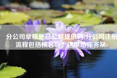 分公司章程是总公司提供吗(分公司注册流程包括核名吗？这里给你答案)