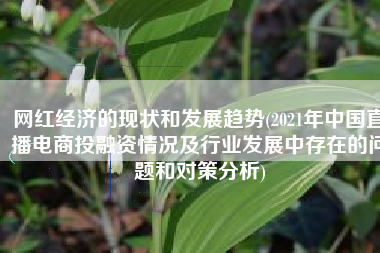 网红经济的现状和发展趋势(2021年中国直播电商投融资情况及行业发展中存在的问题和对策分析)