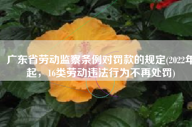 广东省劳动监察条例对罚款的规定(2022年起，16类劳动违法行为不再处罚)