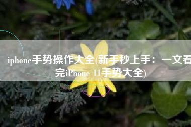 iphone手势操作大全(新手秒上手：一文看完iPhone 11手势大全)