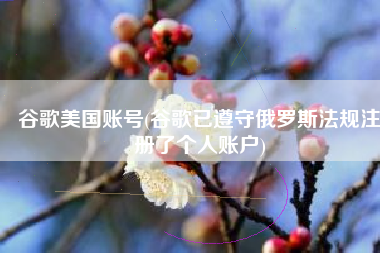 谷歌美国账号(谷歌已遵守俄罗斯法规注册了个人账户)