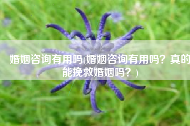 婚姻咨询有用吗(婚姻咨询有用吗？真的能挽救婚姻吗？)