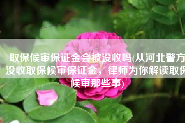 取保候审保证金会被没收吗(从河北警方没收取保候审保证金，律师为你解读取保候审那些事)