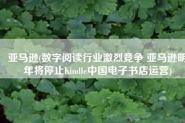 亚马逊(数字阅读行业激烈竞争 亚马逊明年将停止Kindle中国电子书店运营)