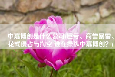 中嘉博创是什么公司(巨亏、商誉暴雷、花式侵占与掏空 谁在操纵中嘉博创？)