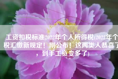 工资扣税标准2022年个人所得税(2022年个税汇缴新规定！刚公布！这两类人恭喜了，到手工资变多了)