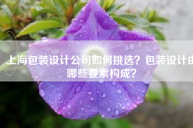 上海包装设计公司如何挑选？包装设计由哪些要素构成？