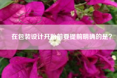 在包装设计开始前要提前明确的是？