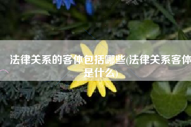 法律关系的客体包括哪些(法律关系客体是什么)