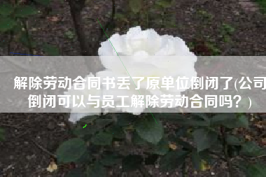 解除劳动合同书丢了原单位倒闭了(公司倒闭可以与员工解除劳动合同吗？)