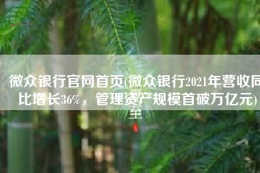 微众银行官网首页(微众银行2021年营收同比增长36%，管理资产规模首破万亿元)