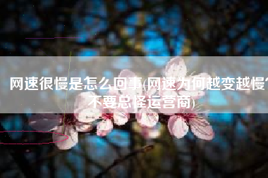 网速很慢是怎么回事(网速为何越变越慢？不要总怪运营商)