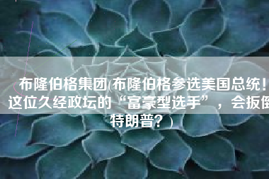 布隆伯格集团(布隆伯格参选美国总统！这位久经政坛的“富豪型选手”，会扳倒特朗普？)