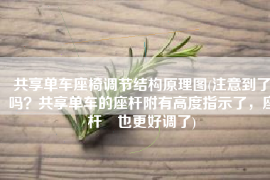 共享单车座椅调节结构原理图(注意到了吗？共享单车的座杆附有高度指示了，座杆夾也更好调了)