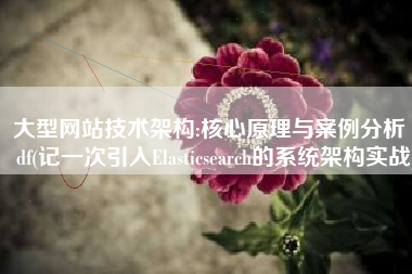 大型网站技术架构:核心原理与案例分析 pdf(记一次引入Elasticsearch的系统架构实战)