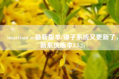 smartisan os最新版本(锤子系统又更新了，新系统版本8.5.2)