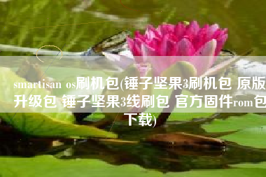 smartisan os刷机包(锤子坚果3刷机包 原版升级包 锤子坚果3线刷包 官方固件rom包下载)