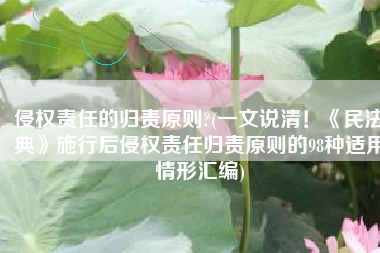 侵权责任的归责原则?(一文说清！《民法典》施行后侵权责任归责原则的98种适用情形汇编)