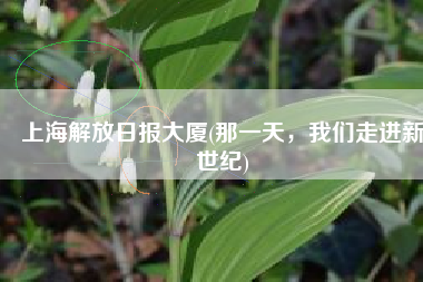 上海解放日报大厦(那一天，我们走进新世纪)