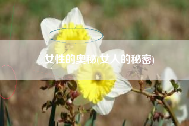 女性的奥秘(女人的秘密)