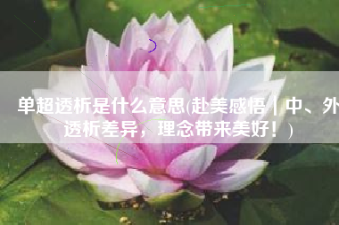 单超透析是什么意思(赴美感悟｜中、外透析差异，理念带来美好！)