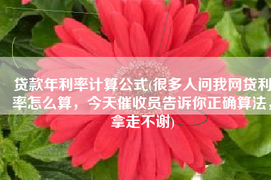 贷款年利率计算公式(很多人问我网贷利率怎么算，今天催收员告诉你正确算法，拿走不谢)