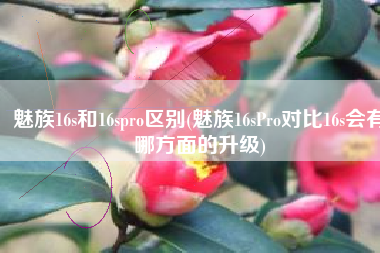 魅族16s和16spro区别(魅族16sPro对比16s会有哪方面的升级)