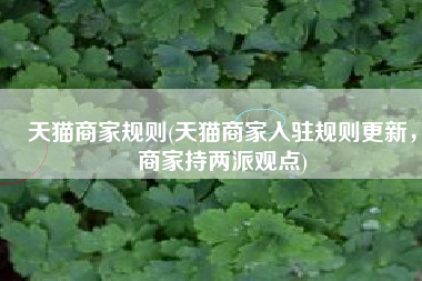 天猫商家规则(天猫商家入驻规则更新，商家持两派观点)