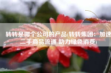 转转是哪个公司的产品(转转集团：加速二手商品流通 助力绿色消费)