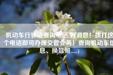 机动车行驶证查询电话(好消息！拨打这个电话即可办理交管业务！查询机动车信息、换驾照......)