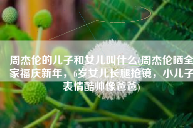 周杰伦的儿子和女儿叫什么(周杰伦晒全家福庆新年，6岁女儿长腿抢镜，小儿子表情酷帅像爸爸)