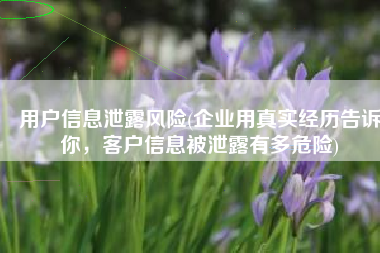 用户信息泄露风险(企业用真实经历告诉你，客户信息被泄露有多危险)