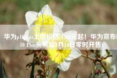 华为p10plus上市价格(4388元起！华为宣布P10 Plus亮黑版8月14日零时开售)