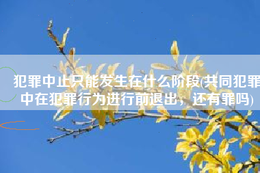 犯罪中止只能发生在什么阶段(共同犯罪中在犯罪行为进行前退出，还有罪吗)