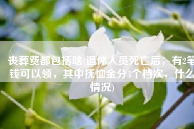 丧葬费都包括啥(退休人员死亡后，有2笔钱可以领，其中抚恤金分3个档次，什么情况)
