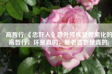 高哲行(《忠奸人》意外残疾受辱黑化的高哲行，坏是真的，爱老婆也是真的)