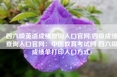 四六级英语成绩查询入口官网(四级成绩查询入口官网：中国教育考试网 四六级成绩单打印入口方式)