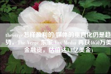 theverge怎样盈利的(媒体的垂直化仍是趋势，The Verge 东家 Vox Media 再获4650万美金融资，估值达3.8亿美金)