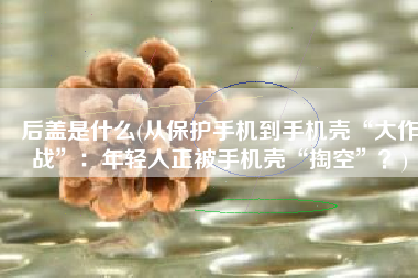 后盖是什么(从保护手机到手机壳“大作战”：年轻人正被手机壳“掏空”？)