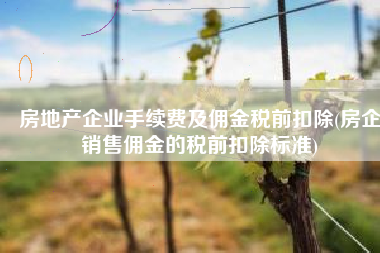 房地产企业手续费及佣金税前扣除(房企销售佣金的税前扣除标准)