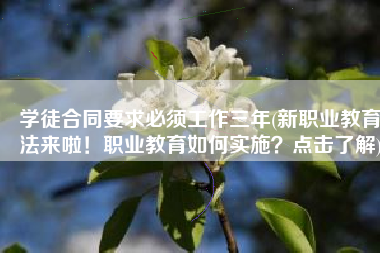 学徒合同要求必须工作三年(新职业教育法来啦！职业教育如何实施？点击了解)